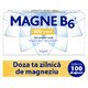 Magne B6