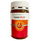 Gelati Plus, 90 tabletten, Sanct Bernhard Krauterhaus