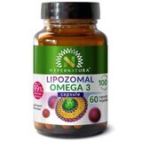 Lipozomal Vegan Omega 3, 60 cápsulas, Hypernatura