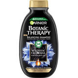 Garnier Botanic Therapy Champú Carbón magnético y aceite de semillas negras, 250 ml