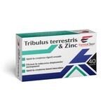 Tribulus Terrestris & Zinc, 40 gélules, FarmaClass