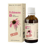 Echinacea senza alcool, 50 ml, Pianta Dacia