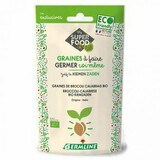 Brócoli Calabrese semillas germinadas BIO, 100 g, Germline