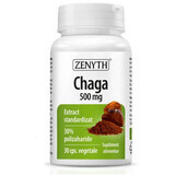 Extrait de Chaga, 30 gélules, Zenyth