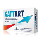 Gattart, 680 mg / 80 mg, 24 comprimidos masticables, Alcaloide