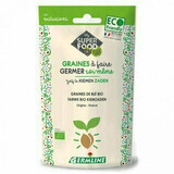 Grano di farro biologico da germogliare, 200 g, Germline