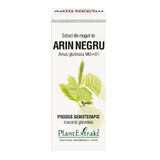 Extracto de yemas de arce negro, 50 ml, Plant Extrakt