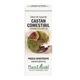 Extracto de yema de castaño, 50 ml, Plant Extrakt