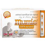 Extrait purifié de résine de momie, 60 gélules, Damar General Trading