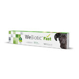 Suplemento digestivo para perros en forma de pasta palatable Webiotic Fast, 30 ml, Wepharm