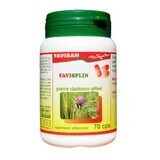 Favisplin, 70 capsules, Favisan