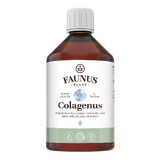 Collagène liquide hydrolysé et extraits de plantes, 500ml, Faunus