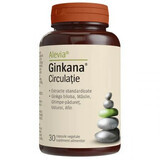 Ginkana Circulatie, 30 capsule, Alevia