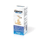 Esentin Kids Syrup, 100 ml, Sun Wave Pharma