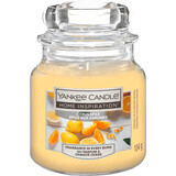 Bougie parfumée Citrus Spice de Yankee Candle, 104 g