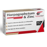 Harpagofito y Zinc, 40 cápsulas, FarmaClass