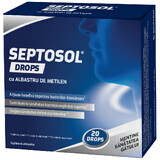 Septosol Solution Bleu de Méthylène, 20 gouttes, Biofarm