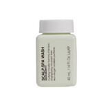 Champú para cuero cabelludo irritado Kevin Murphy Scalp Spa Wash efecto purificante 40ml