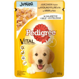 Pedigree Natvoer junior hond met kip en rijst, 100 g