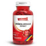 Branca Ursului extract, 60 capsule, AdNatura