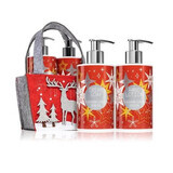 Set de Jabón Líquido y Crema de Manos Brillo de Navidad, 2x250 ml, Vivian Gray