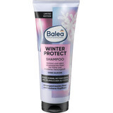 Champú Balea Professional Winter Protect, 250 ml