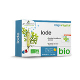 Iode Bio, 20 ampoules, 3 Chênes