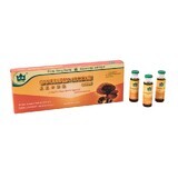 Ganoderma Lucidum, 10 ampollas, 10 ml, Yongkang International China