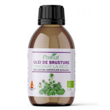 Ulei Bio de brusture macerat la rece, 100 ml, Pronat