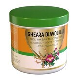 Gel de Masaje Refrescante Garra del Diablo, 275 ml, Praemium