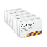 Alanerv Pack, complemento alimenticio para el sistema nervioso, 100 (5x20) cápsulas blandas, Alfasigma