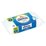 Frisches nasses Toilettenpapier, 42 Stück, Kleenex