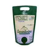 Detergente concentrado ecológico con aroma floral, 2 L, Lavanderina