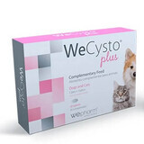 Nutritional supplement to support urinary function in cats WeCysto Plus, 30 capsules, WePharm