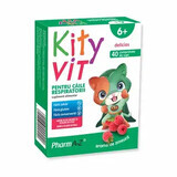 KityVit para vías respiratorias x 40 succión sabor frambuesa cpr