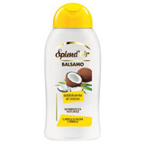 Acondicionador capilar con aceite de coco, 300 ml, Splend'or