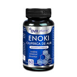 Seta Enoki Dorada, 60 cápsulas, DVR Pharm