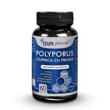 Hongo Polyporus con Hojas, 60 cápsulas, DVR Pharm