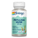 Psyllium Husk, 525 mg, 100 capsule vegetale, Solaray