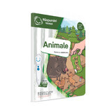 Libro de pegatinas de animales, Raspundel Istetel