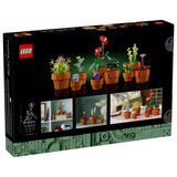 Plantas pequeñas, 18 años+, 10329, Lego Icons