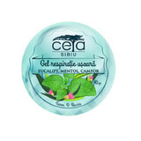 Gemakkelijk ademende gel met eucalyptus-, menthol- en kamferextracten, 40 g, Ceta Sibiu