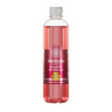 Bebida fermentada de rosa e hibisco, 500 ml, iKombucha