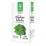 Gingko Biloba Tinktur, 50 ml, Divine Star