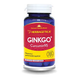 Gingko Curcumin95, 30 Kapseln, Herbagetica