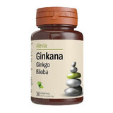 Ginkana Ginkgo Biloba 40 mg, 30 comprimidos, Alevia