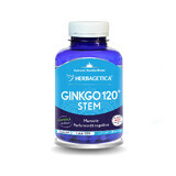 Ginkgo 120 Tallo, 120 cápsulas, Herbagetic