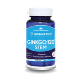 Ginkgo 120 Tallo, 30 cápsulas, Herbagetica