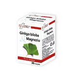 Ginkgo Biloba & Magnesio, 30 capsule, FarmaClass