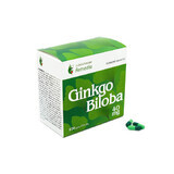 Ginkgo Biloba 40 mg, 120 cápsulas, Remedia